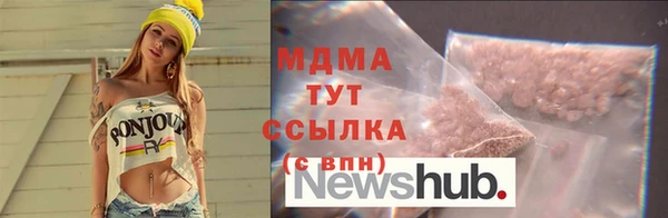 индика Алексин