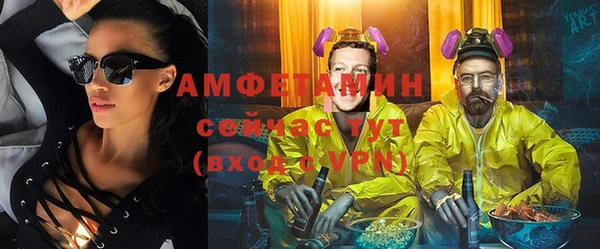индика Алексин