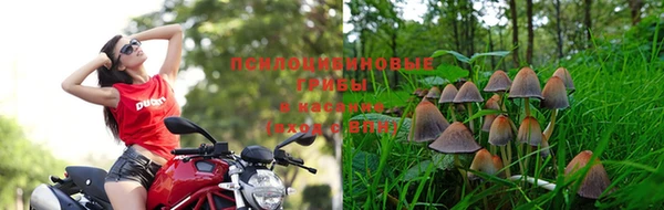 соль ск Алексеевка