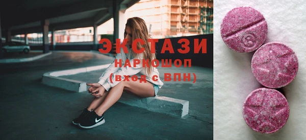 индика Алексин